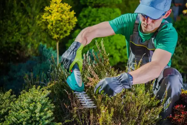 landscaping services Kraemer